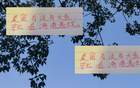 深圳申花等隊(duì)引外援國腳，夏窗期待海港大魚。