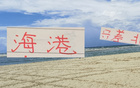 海港投入巨資，17輪后近北京國安，表現(xiàn)良好。