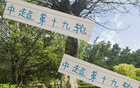 周末申花云南高原賽，阿蘇埃赤道南能否進第四球？