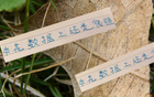 申花領(lǐng)跑榜首，進(jìn)球數(shù)第一，失球倒數(shù)第二少，18輪不??！