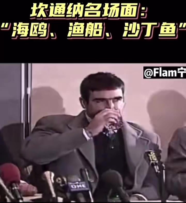 坎通納名場(chǎng)面海鷗漁船沙丁魚