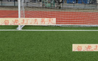 海港務(wù)實(shí)高效，申花攻守失衡。