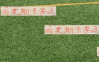 萊奧納多再勝河南，社交發(fā)文如海港8號(hào)奧斯卡。