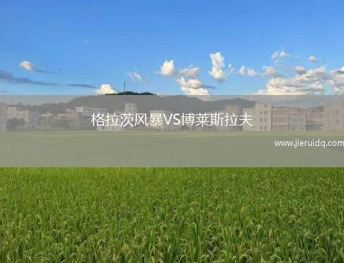 格拉茨風(fēng)暴VS博萊斯拉夫
