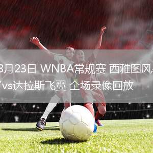 08月23日 WNBA常規(guī)賽 西雅圖風(fēng)暴vs達(dá)拉斯飛翼 全場錄像回放