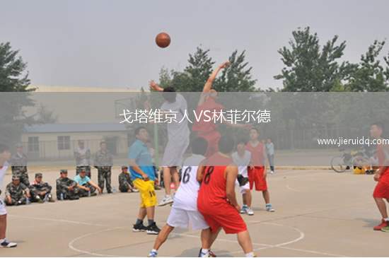 戈塔維京人VS林菲爾德