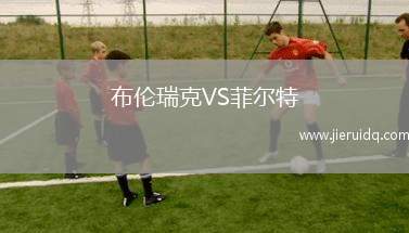 布倫瑞克VS菲爾特