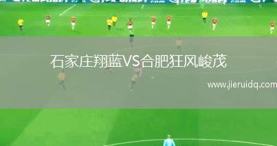石家莊翔藍(lán)VS合肥狂風(fēng)峻茂