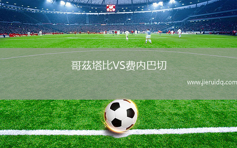 哥茲塔比VS費(fèi)內(nèi)巴切