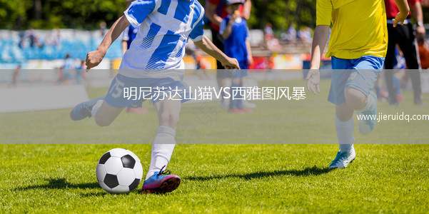 明尼蘇達(dá)山貓VS西雅圖風(fēng)暴