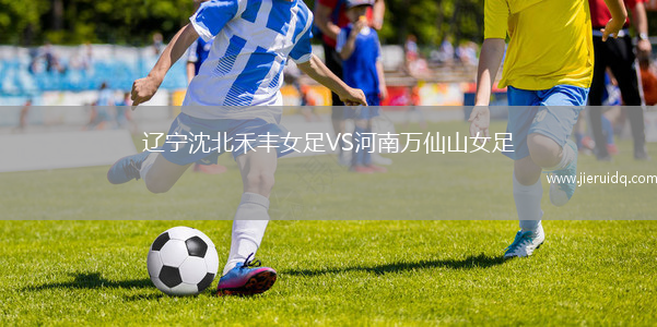 遼寧沈北禾豐女足VS河南萬仙山女足